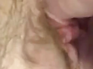 Lexii Sapphire pounds her creamy gash with a massive dildo and a creamy muff